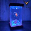 Luffy One Piece Resin Lamp Kings Ship Ocean Diorama Night Light Anime LED Gift 6 IB5fD.jpg